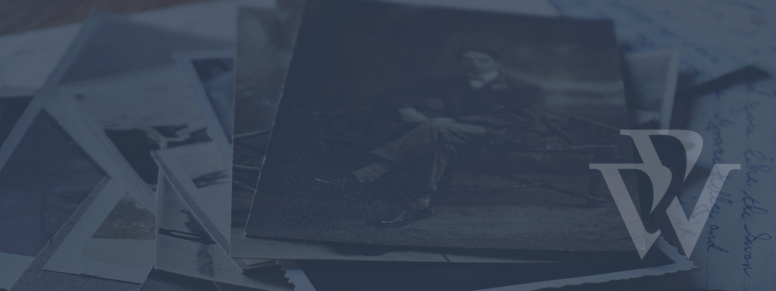 WEBSITE GRAPHIC ELEMENTS (48)